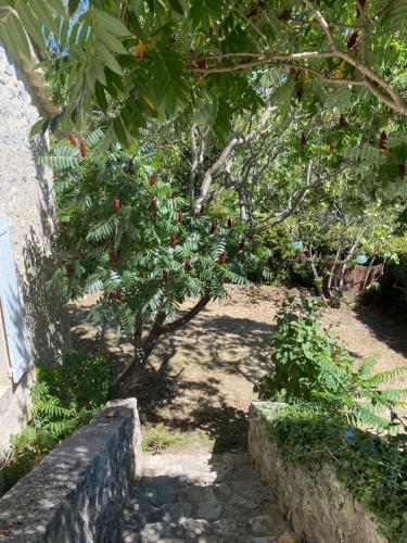 a small tree with red berries on it in a garden at Le Caminol in Sisteron