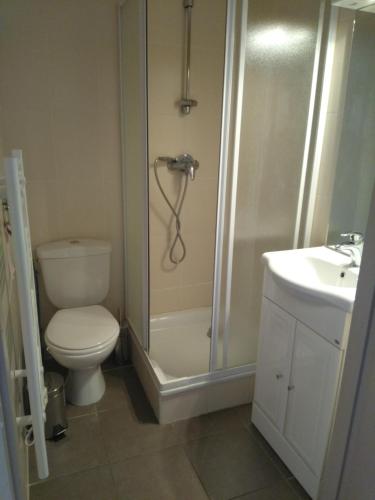 une salle de bain avec toilettes, douche et lavabo dans l'établissement Auberge du Grand Joly, à Sainte-Agnès