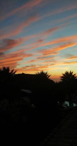 a sunset with palm trees and a cloudy sky at Il Mandorlo in Amantea