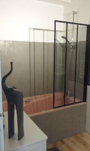 ニヨンにあるappartement climatisé avec terrasse au coeur de Nyonsのバスルーム(ガラス張りのシャワー、バスタブ付)