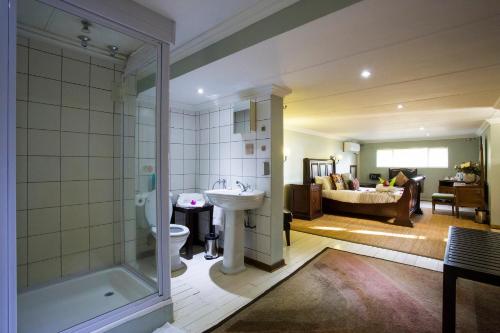 a bathroom with a shower and a sink and a toilet at Tamboti Lodge Guest House in Tzaneen