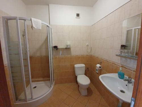 ein Bad mit einer Dusche, einem WC und einem Waschbecken in der Unterkunft Hotel Oko in Nitra