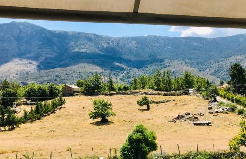 a view of a field with mountains in the background at L'Acqua Viva in Calacuccia