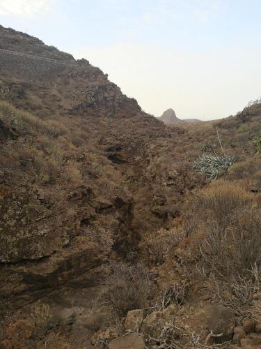 a dirt hillside with bushes and a mountain at La Casona Canaria Boutique Home B & B in Agüimes