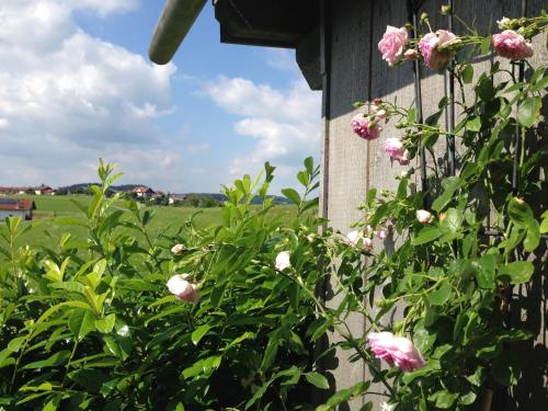 Am Hörnle Appartements – Photos 4