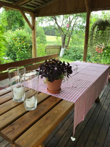 a picnic table with a potted plant on a deck at Dom Wakacyjny - Siedlisko Gutowo in Lidzbark