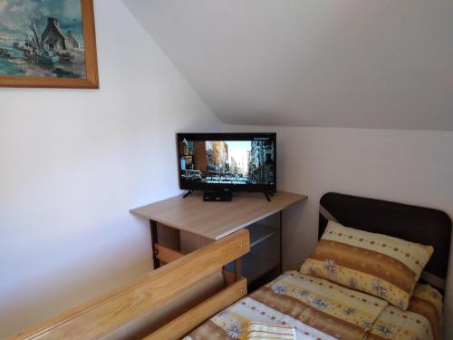 TV a/nebo společenská místnost v ubytování Vikendica pored Drine Foča