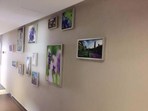 a wall with pictures of flowers on it at Lavande Hotel Xuzhou West Exit of High Speed Rail Station Branch in Xuzhou