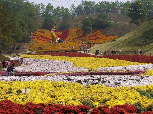 a large flower garden with people walking around it at Lavande Hotel(Macheng High-speed Station Branch) in Macheng