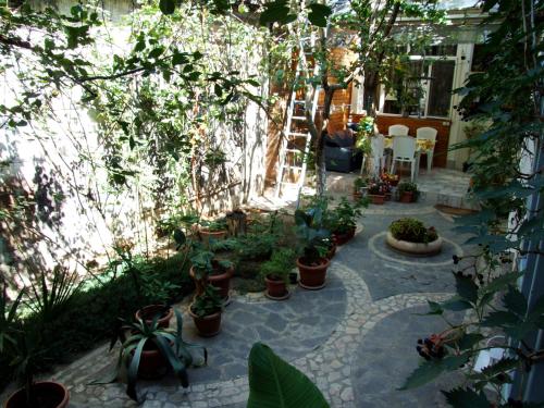 a patio with a bunch of potted plants at Armine's B&B in Gyumri