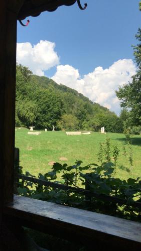 a view from a window of a field with a fence at Căsuțele Doftanei in Teşila