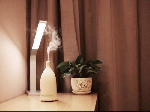 a white vase sitting on a table next to a plant at Lavande Hotel (Shenyang Olympic Center Wanda Branch) in Shenyang