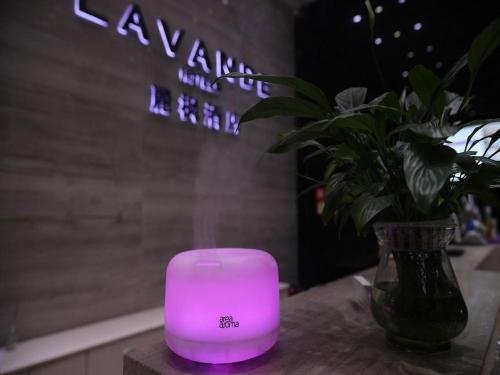 Foto dalla galleria di Lavande Hotel Leshan High-speed Railway Station Wanda Plaza a Leshan