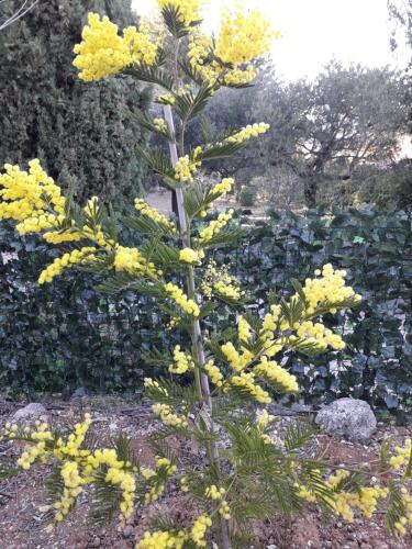 Photo de la galerie de l'établissement VILLA HORTENSIAS, à Salernes