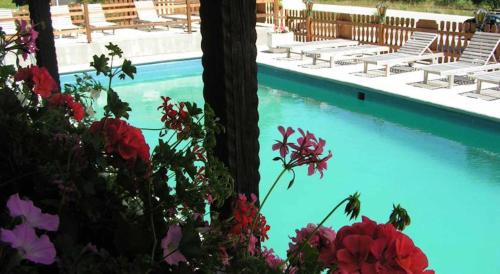 a swimming pool with chairs and flowers and trees at Hotel Waldesruh in Göstling an der Ybbs