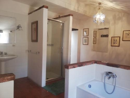 a bathroom with a shower and a sink at Una Terrazza sulla maremma in Caldana