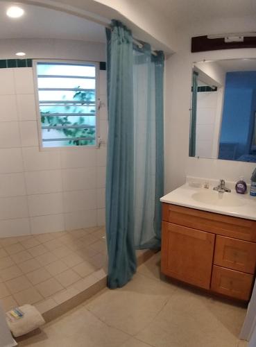 a bathroom with a sink and a shower with a window at The Horny Toad Guest House in Simpson Bay