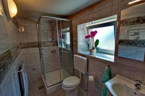 a bathroom with a shower and a toilet and a sink at Apartma Sašo in Srpenica