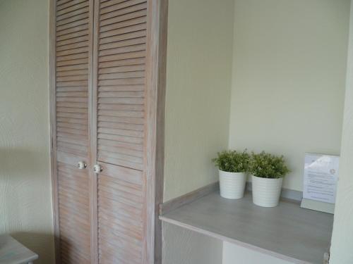 two potted plants sitting on a shelf next to a closet at Hotel Pension Oranje in Valkenburg