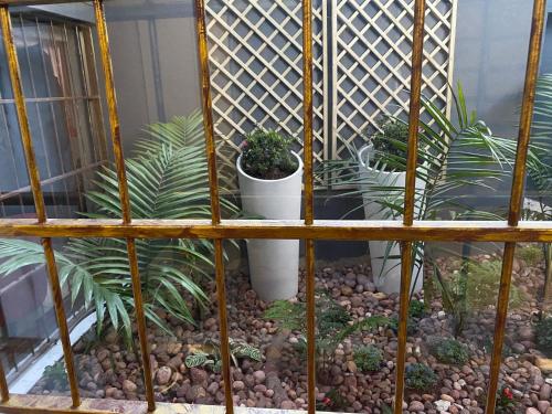 a cage with potted plants in it at Marion Lodge in Johannesburg