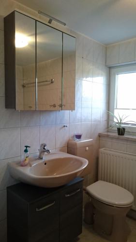 a bathroom with a sink and a toilet at Ferienwohnung Louise in Klingenthal