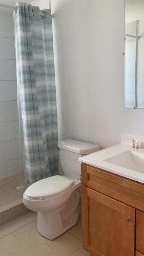 a bathroom with a toilet and a sink and a shower at The Horny Toad Guest House in Simpson Bay