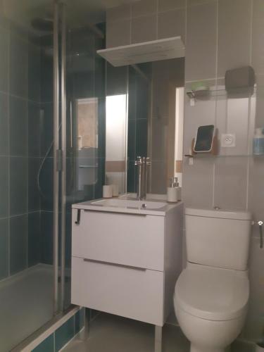 une salle de bain blanche avec toilettes et douche dans l'établissement A la montagne à 2 App107, à Cauterets