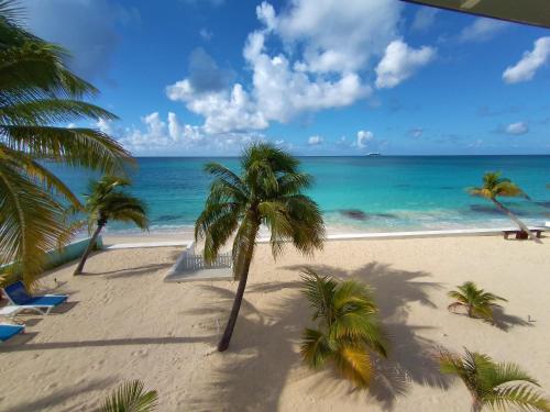 a view of a beach with palm trees and the ocean at The Horny Toad Guest House in Simpson Bay
