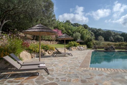 a swimming pool with chairs and umbrellas next to a pool at Residence Piatana in Olmeto