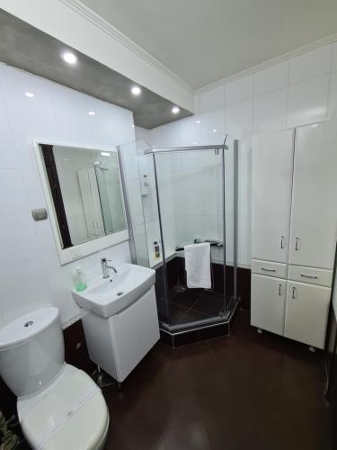 a bathroom with a shower and a toilet and a sink at City Center Apartments in Strumica