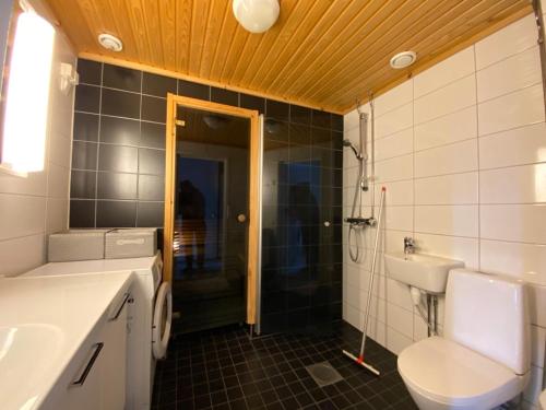 a bathroom with a toilet and a sink and a shower at Tunturi Panorama Iso-Syöte in Syöte