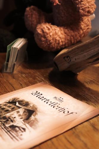 a book sitting on a wooden table with a teddy bear at Hotel Martellerhof in Martello