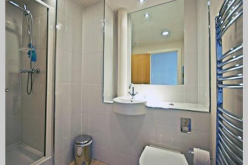 a bathroom with a toilet and a sink and a mirror at Apartment 12 Popeshead Court in York