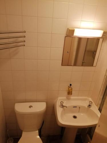 a small bathroom with a toilet and a sink at Glasgow House in Glasgow