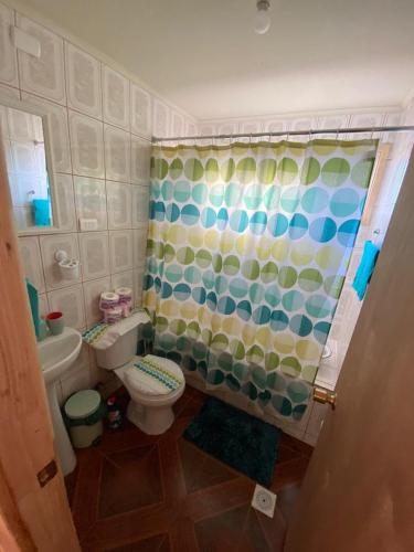 a bathroom with a toilet and a shower curtain at Cabaña Puerto Sánchez RYS Patagonia A in Puerto Sanchez