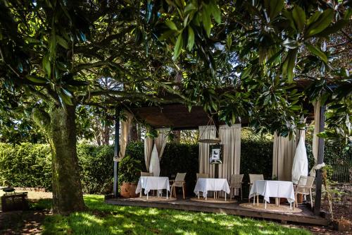 a table and chairs under a pergola under a tree at Hotel Rio Bidasoa in Hondarribia