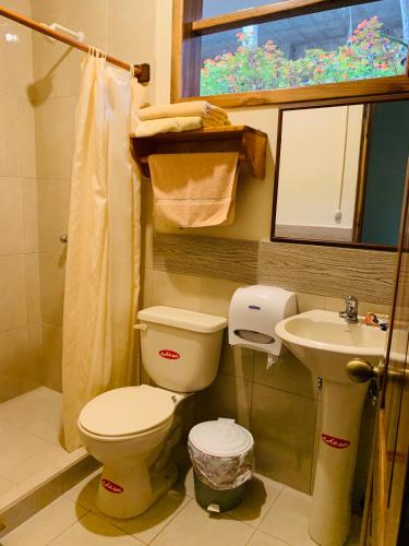 a bathroom with a toilet and a sink at La Casa de Cecilia Mindo in Mindo