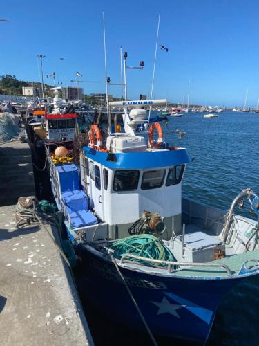 ヴィラ・ノヴァ・デ・ガイアにあるDouro Marina Studiosの青と白のボートが桟橋に停泊している