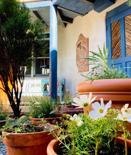 a group of flowers in pots in front of a building at Guadalupe Inn in Santa Fe