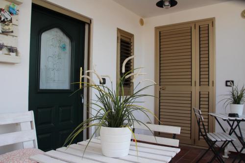 un porche con una puerta verde y macetas en B&b Sogni d'oro Milena, en Civitanova Marche