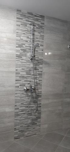 a shower in a bathroom with a tile wall at Vida Family Hotel in Vidin