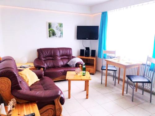 TV a/nebo společenská místnost v ubytování Haus Panorama