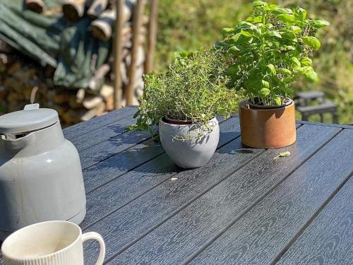Zahrada ubytování 4 person holiday home in Læsø-By Traum