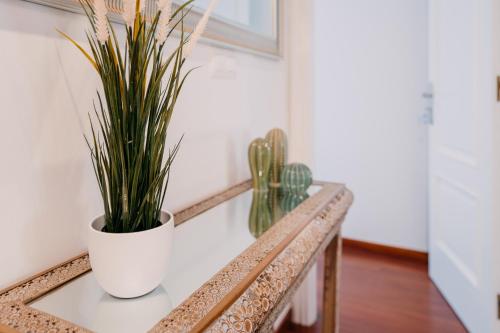 a bench with two potted plants on it at PENSIÓN AUGAS QUENTES in Caldas de Reis