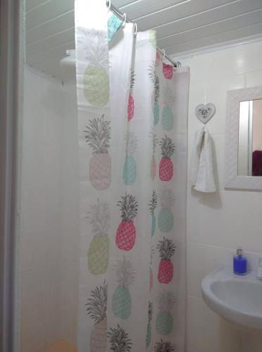a bathroom with a shower curtain with pineapples on it at Estação Caraíva in Caraíva