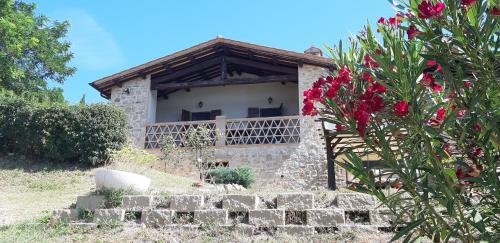 Zahrada ubytování Villa Tilla