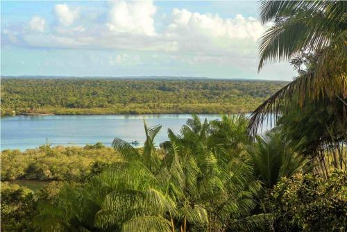 a view of a river in the middle of a forest at Art Jungle Eco Lodge in Itacaré