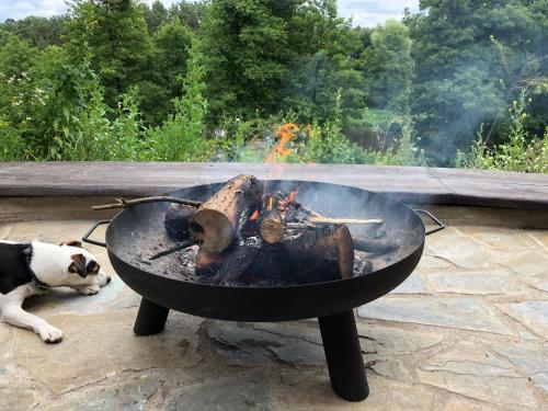 un cane steso accanto a un grill con un fuoco di Villa & Jacuzzi nad rzeka Wkra a Goławice