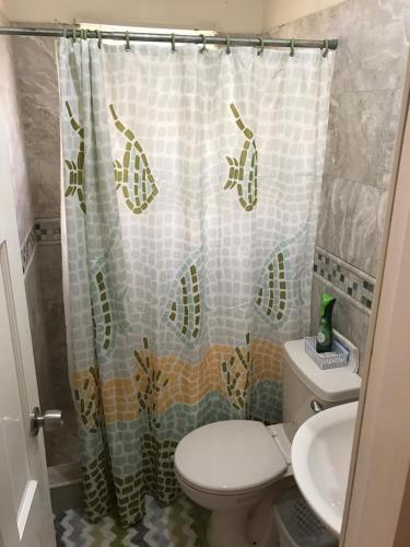 a bathroom with a toilet and a shower curtain at Hopeville Apartments in Christ Church