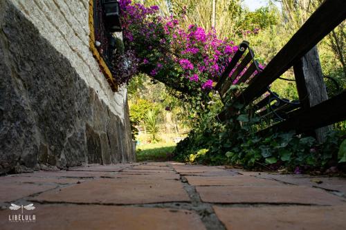 a stone walkway with a bench and purple flowers at Libélula Cabaña- Alojamiento rural in Duitama